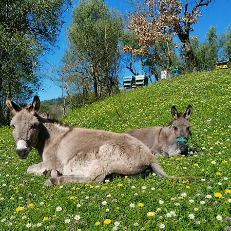 Fattoria Cristina Patio With Pool, Pergola & Farm Animals Near Cinque Terre - Mono Castelnuovo Magra