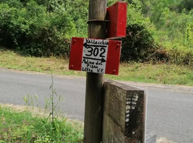 Fattoria Cristina - Mono *